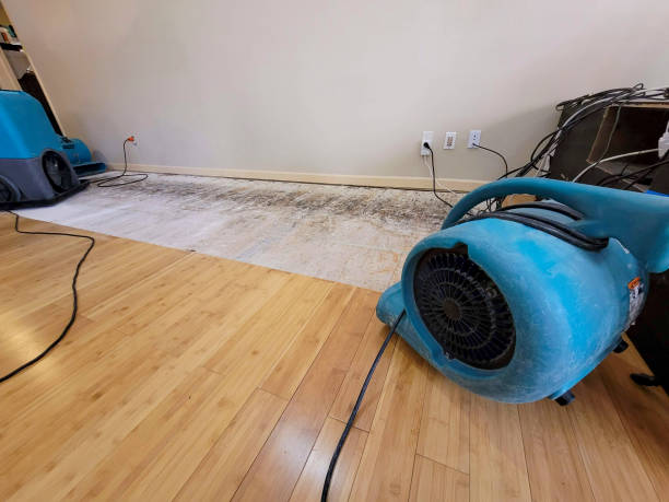 Professional Emergency Water Damage technician working in Kennebunk, ME